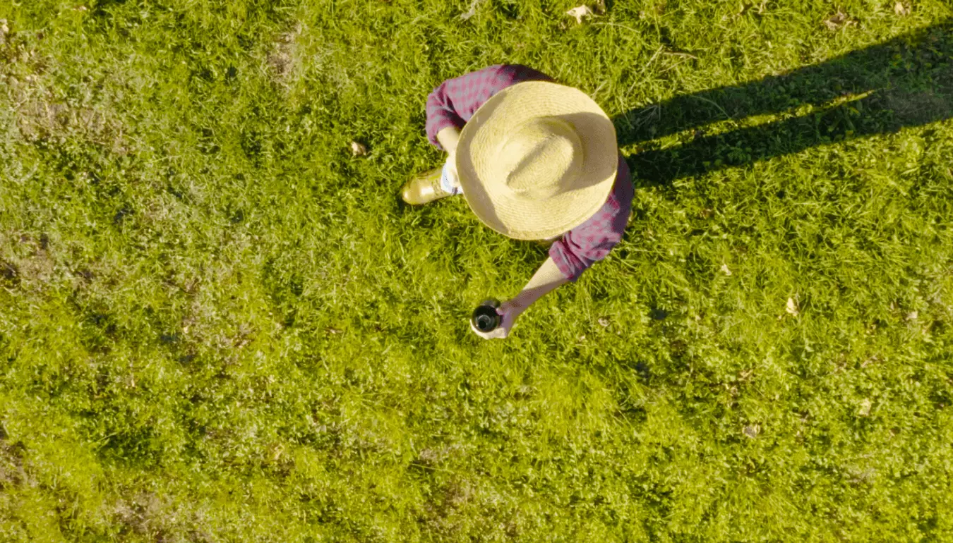 Sartori - Il viaggio del vino veronese diventa virale Sartori wine travel